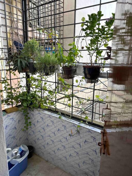 Jmj Residency Villa Haydarabad Dış mekan fotoğraf